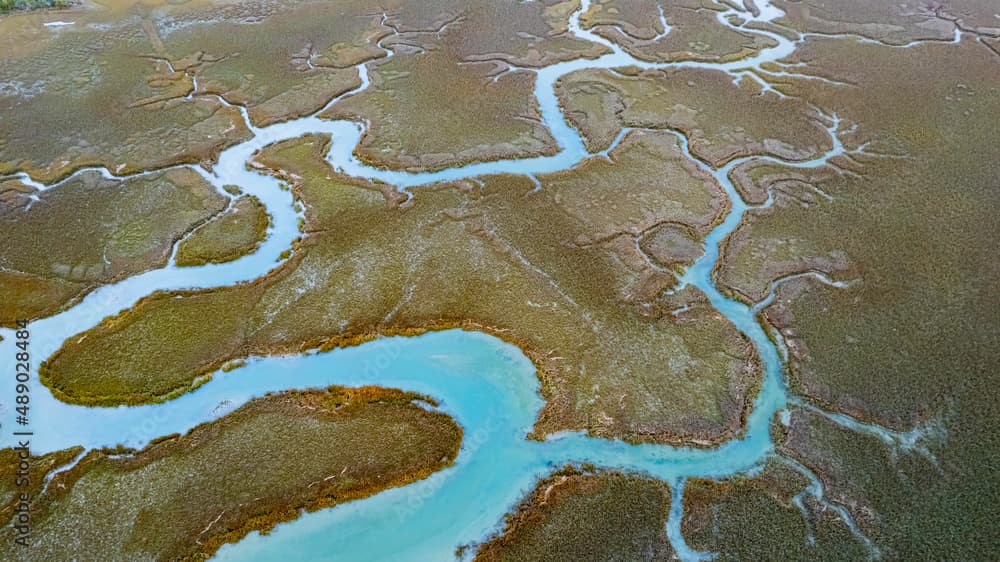 Charleston marsh